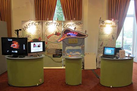 presentation display